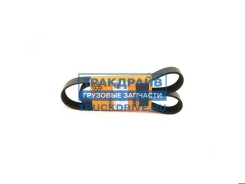 ������ 8PK1230 ISBe V=3.9 4898546 Haffen 0132 0132 ����