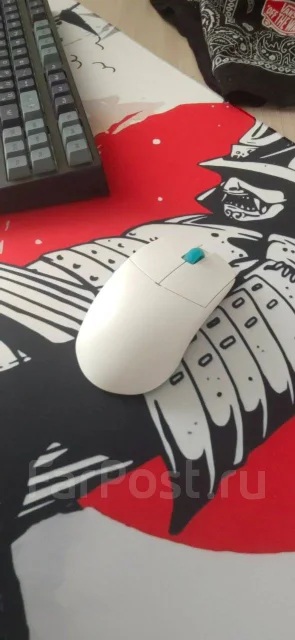 ���� ������������. ����