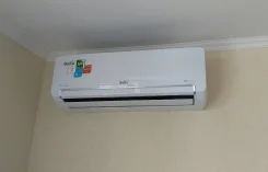 ��������� �������������. ����