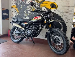 Regulmoto BWS. 125����. ��., ��������, ���������, ��� ������� ����