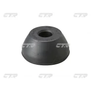 ������ ���� �������� | ����� ����/��� | CTR GV0248 / CVHO-17 GV0248 ����