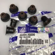 �������� ������������ (2222425000 ) Hyundai/Kia 222242G000 222242G000 ����