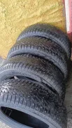 Winter Tact. ������, ����������, 2024 ���, ����� ����