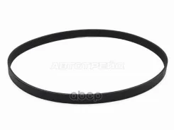 ������ ��������� Audi A6 97-05 / Volkswagen Passat 96-05 Sat ���. 6PK1765 6PK1765 ����