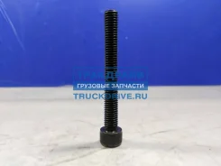 ���� ����� ���������� ���� Scania 5 (M10�100 ��. ) Auger 101624 101624 ����