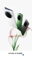 Vivo X Fold5. �����, 256 ��. ��� ����� �� ���������� ����