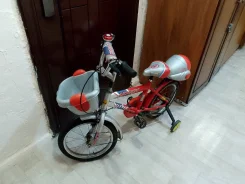 Carver ����