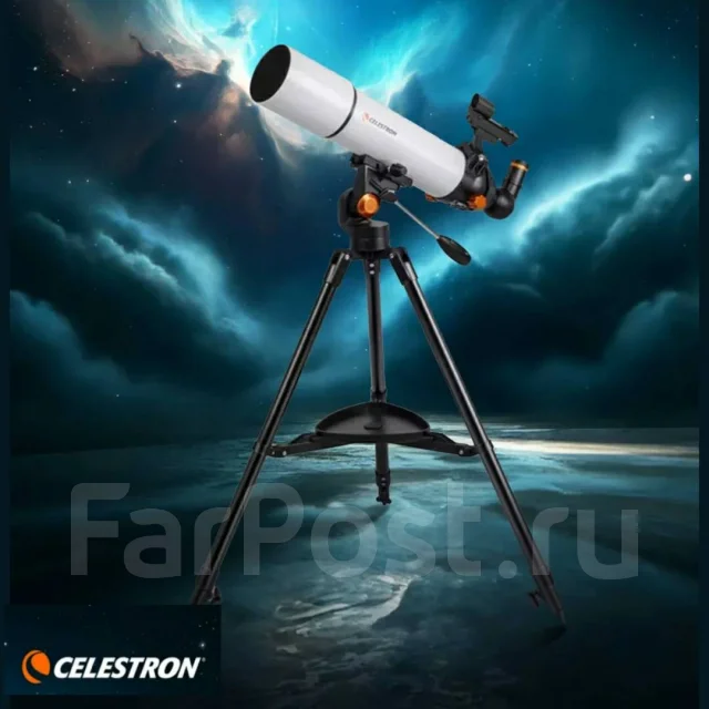���������. ����