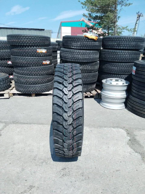 Teerex. �����������, 2026 ���, ����� ����