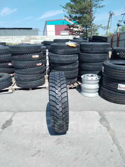 Teerex. �����������, 2026 ���, ����� ����