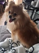 ����. ����