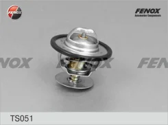 ��������� Fenox TS051 TS051 TS051 ����