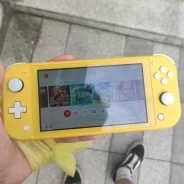 Nintendo Switch Lite ����