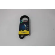������ ������������ Michelin Michelin 6PK1019E 6PK1019E ����
