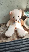 ������ ������ �������� ������� ����