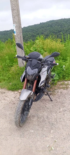 Regulmoto Majesty. 223����. ��., ��������, ���������, ������ �� �� ����