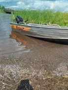 Wellboat-37. 2018 ���, ����� 3,7��., ��������� ���������, 9,9��.�., ������ ����