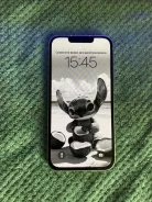 Apple iPhone 13. �/�, 256 ��, �����, 3G, 4G LTE, NFC ����