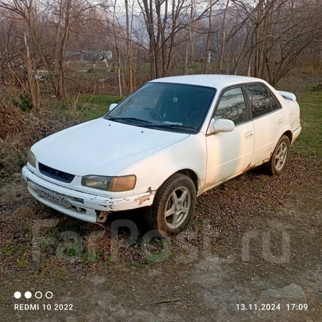 Toyota Corolla. �������, 4wd, ������, 300 000����. �� ����