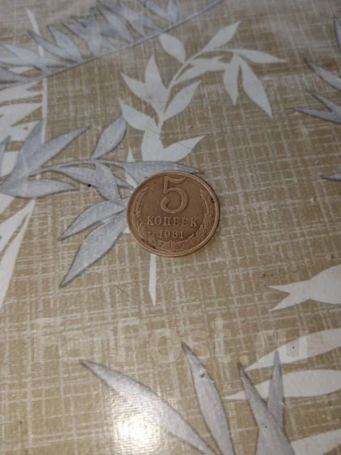 5 ������ 1981 ��� ����