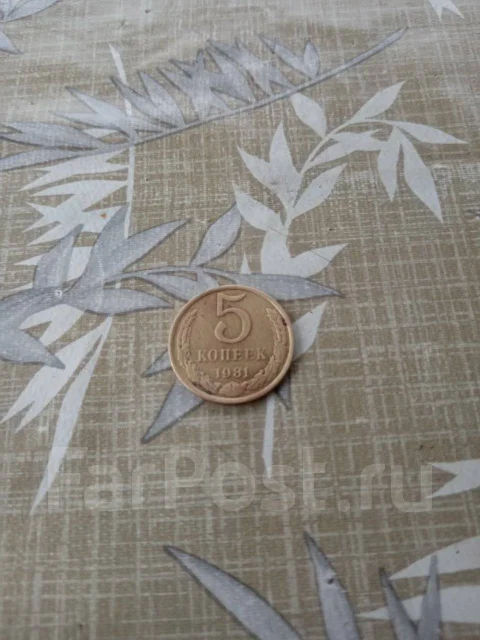 5 ������ 1981 ��� ����