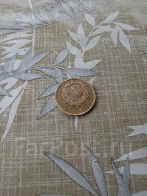 5 ������ 1981 ��� ����