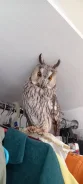 ����. ����
