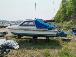 Yamaha LS-16. 1993 ���, ����� 5��., ��������� ������������, 135��.�., ������ ����