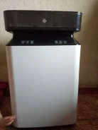 Dexp ����