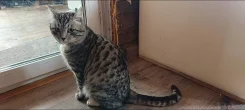 �����. ����