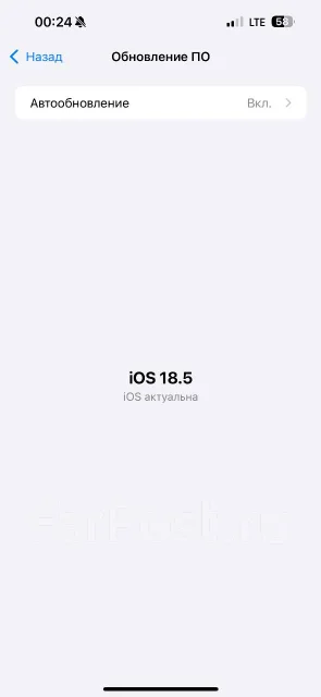 Apple iPhone 15 Pro Max. �/�, 256 ��, �����������, �����, 3G, 4G LTE, 5G, Dual-SIM, NFC ����