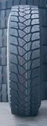 Teerex. �����������, 2025 ���, ����� ����