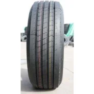 Teerex. �����������, 2025 ���, ����� ����