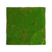  , ,  1 x 1 , , , Greengo 