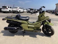 Honda PS 250 Big Ruckus