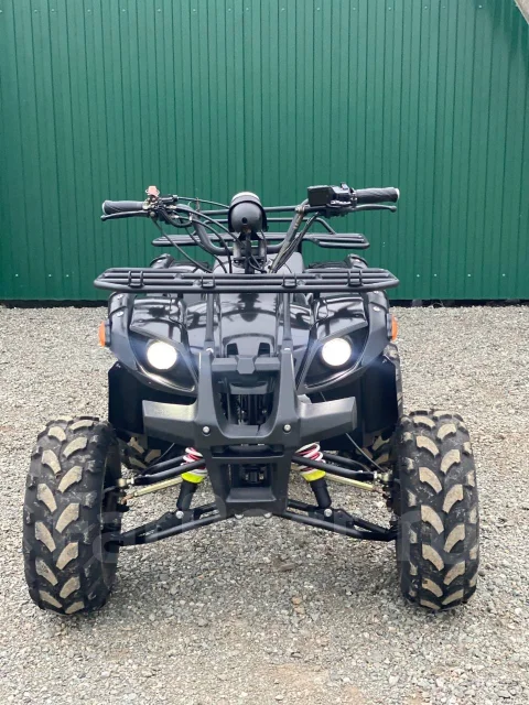 Yamaha Grizzly 125. ��������, ��, �� ����