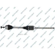 ������ � ����� ������ BMW GSP 201681 - 201681 ����
