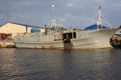 Yanmar. 1996 ���, ��������� ������������, ������ ����