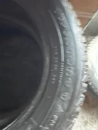 Firestone Winterforce 2. ������, 2019 ���, �/�, ����� 5 % ����