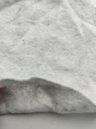�����������. ����