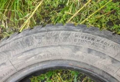 Bridgestone Winter Radial WT-17. ������, ����������, 2015 ���, �/�, ����� 50 % ����