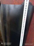 �����������, ���������. ����