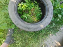 Streamstone. ������, ��� �����, �/�, ����� 60 % ����