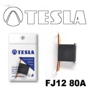 �������������� Tesla FJ12 80A FJ1280A ����