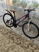 Dolce Wheels. x26" ����