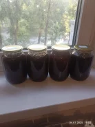 �������. ����