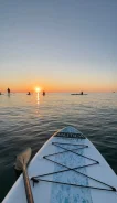 ������ SUP-�����. ����
