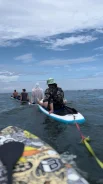 SUP-����. ����