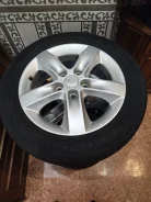 Altenzo Cursitor. ������, ����������, 2017 ���, �/�, ����� 45 % ����