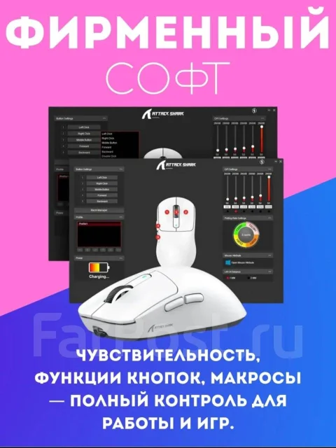 ���� �������. ��� ����� �� ������������ ����